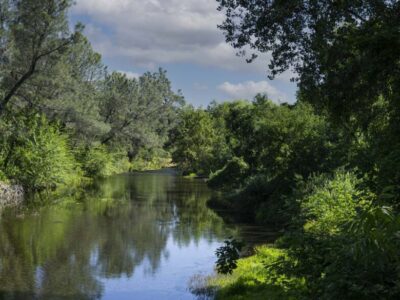 Chico Upper Park