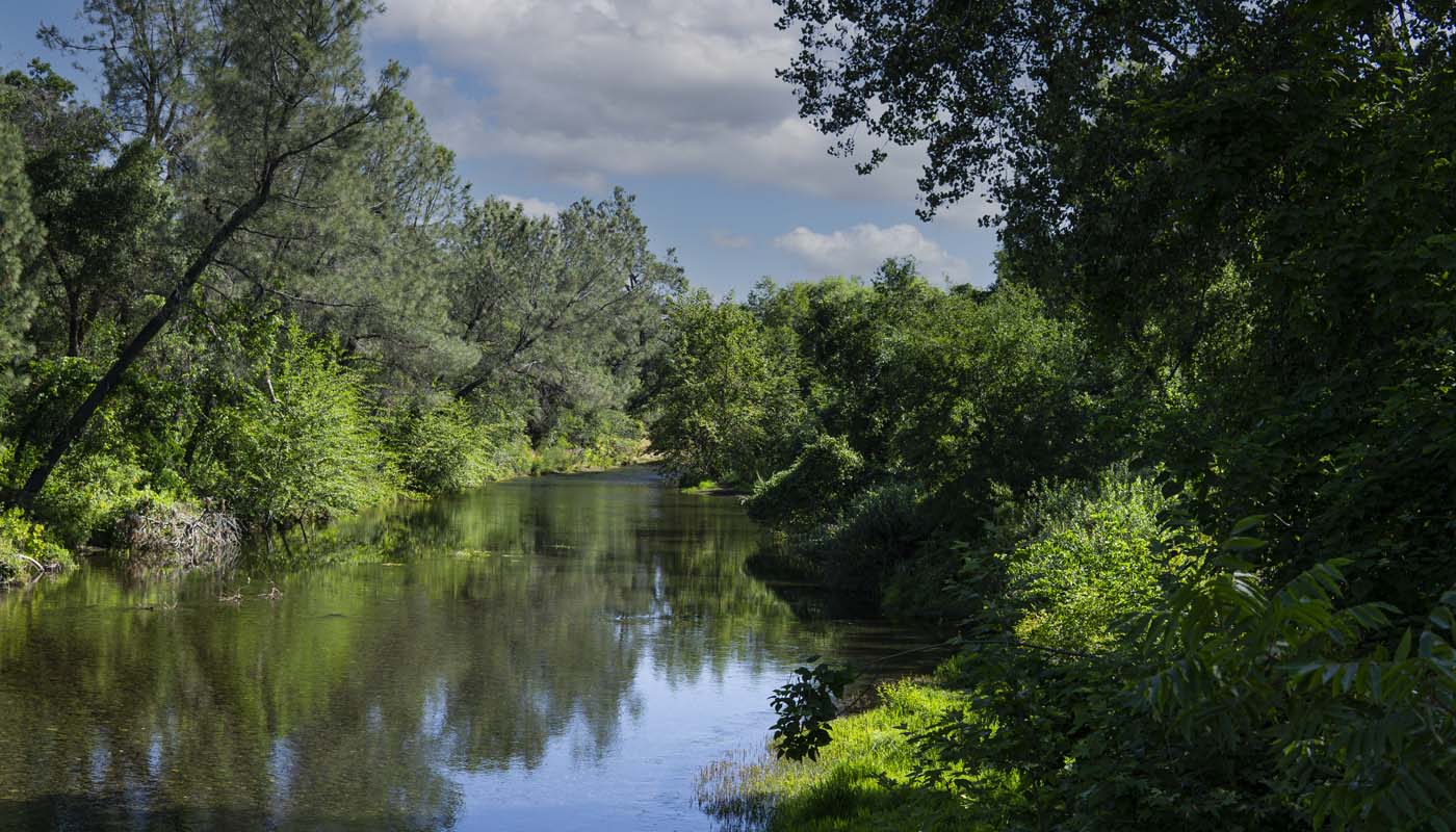 Local Photography: Upper Park, Chico, CA